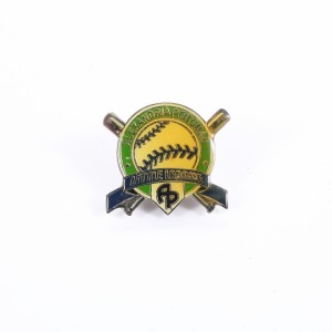 TEAM LAPEL PIN1