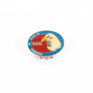 TEAM LAPEL PIN1